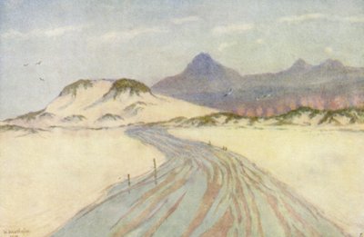 鱼鸮海滩，远处是诺德鸮山（彩色石版画） 作者 威廉·韦斯特霍芬