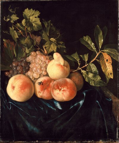 桃子和葡萄的静物画，1705年 作者 威廉·弗雷德里克斯·范·罗恩