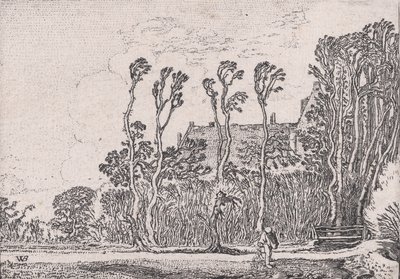 播种者，来自Verscheyden Landtschapjes各种小景观，图版5，约1616年。 作者 威廉·皮特兹。买泰威