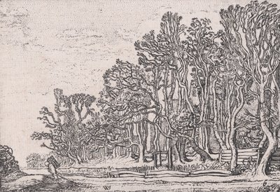 两块木板篱笆，来自Verscheyden Landtschapjes各种小景观，图版6，...，约1616年。 作者 威廉·皮特兹。买泰威