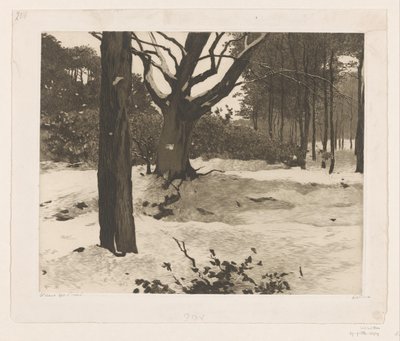 埃德的雪域森林景观 作者 Willem Witsen（艺术家签名）