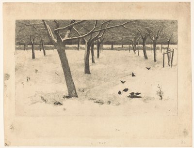有鸟的雪地果园 作者 威廉·阿诺杜斯·维特森