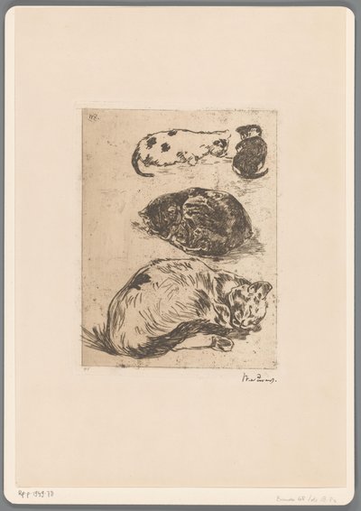 猫的研究（原名） 作者 Willem de Zwart（艺术家签名）