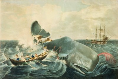 捕捉抹香鲸》，J. Hill 版画，1835 年出版（彩色水印版画） 作者 威廉（后）佩奇