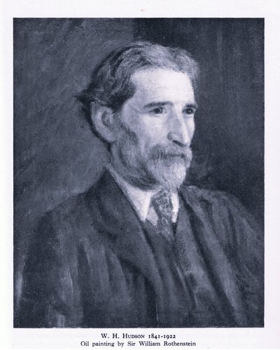 Portrait of W. H. Hudson (litho) 作者 威廉（继）罗森斯坦