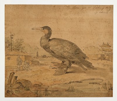 WD 961 f.6 作者 威廉·亚历山大