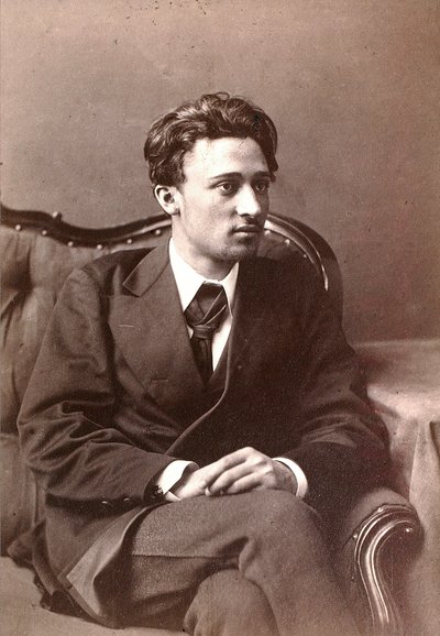 俄国作家Vsevolod Garshin，1870年代后期 作者 威廉·安德烈耶维奇·卡里克
