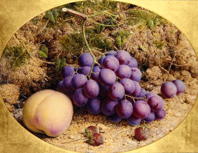 苔藓岸边的葡萄和桃子（纸上水彩画） 作者 威廉·B·霍夫
