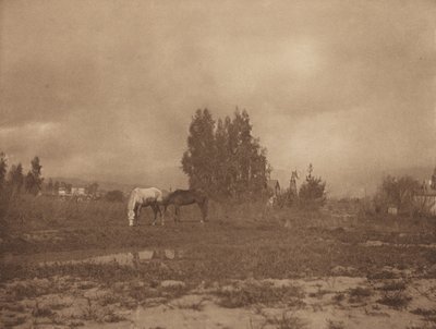 帕萨迪纳风景，1899年。 作者 威廉·B·波斯特