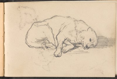 熟睡中的狗的素描，约1879年 作者 威廉·巴恩斯（William Barnes）羊毛