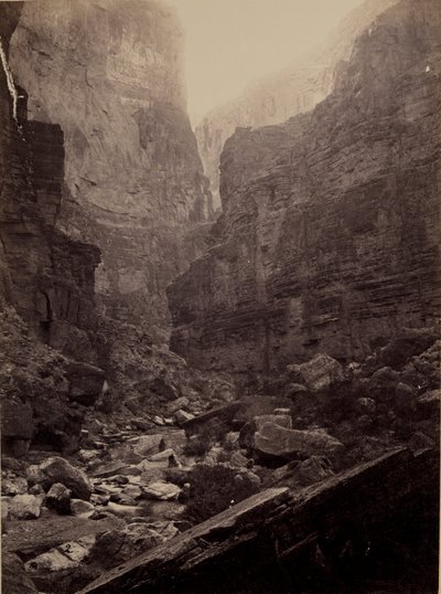 卡纳布·沃恩（Kanab Wash），科罗拉多河，向北看 作者 威廉·贝尔