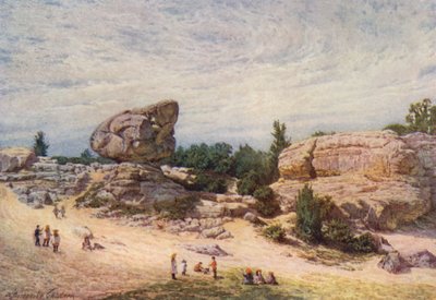 蟾蜍岩，拉斯特霍尔公地，坦布里奇威尔斯（彩色石版画） 作者 威廉·比斯科姆·加德纳