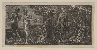 1821年，来自维吉尔的桑顿牧场的两个男孩嘲弄科里内特。 作者 威廉·布雷克