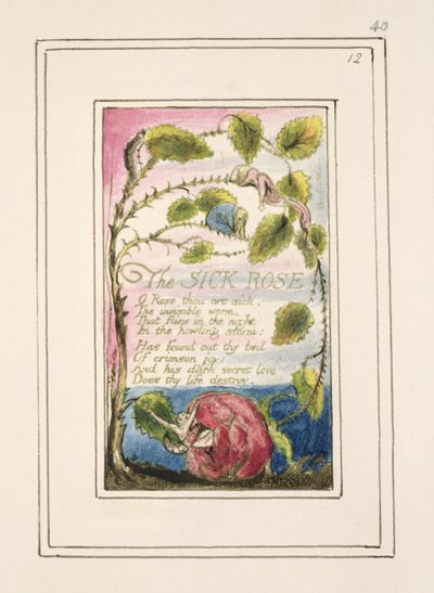P.124-1950.pt40 Sick Rose：来自“纯真和经验之歌”的第40页（复制R）c.1802-08（蚀刻，墨水和wc） 作者 威廉·布雷克