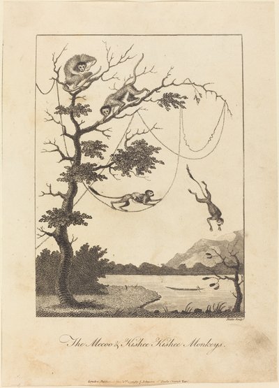 梅库和基斯比基斯猴，1793年。 作者 威廉·布雷克