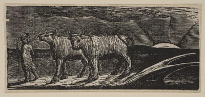 Unyokd小母牛，游荡的家园，来自维吉尔的桑顿牧场，1821年。 作者 威廉·布雷克