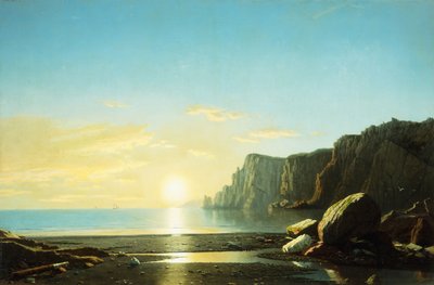 拉布拉多海岸外（1862年） 作者 威廉·布拉德福德