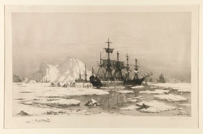 北极的海豹，取材于画作：浮冰之中》，1875 年 作者 威廉·布拉德福德