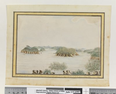 Opp. p. 93. `SW. Arm of Broken Bay New South Wales from an Island at the Entrance. Sepr 1789