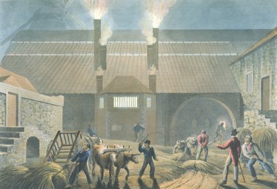 Boiling House的外观，来自“安提瓜岛的十景”，1823年 作者 威廉·克拉克