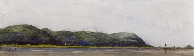 Point Sikree Gully, Rajmahal Hills》，印度，1843年 作者 威廉·克莱里休