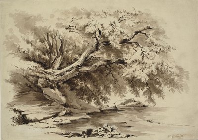 湖边树木景观 作者 威廉·科林伍德·史密斯