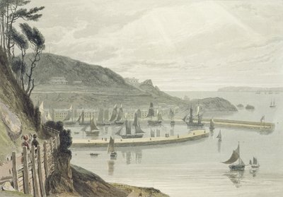 德文郡托基，1814年出版的“英国1814年到1825年之间的航行”第八卷（aquatint） 作者 William Daniell