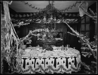 1917年1月4日圣诞节装饰的William Mill Butler先生和夫人的住所内部 作者 威廉·戴维斯·哈斯勒