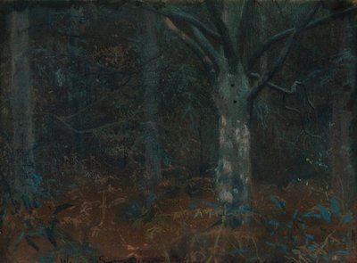 老梧桐 作者 William Edward Stott