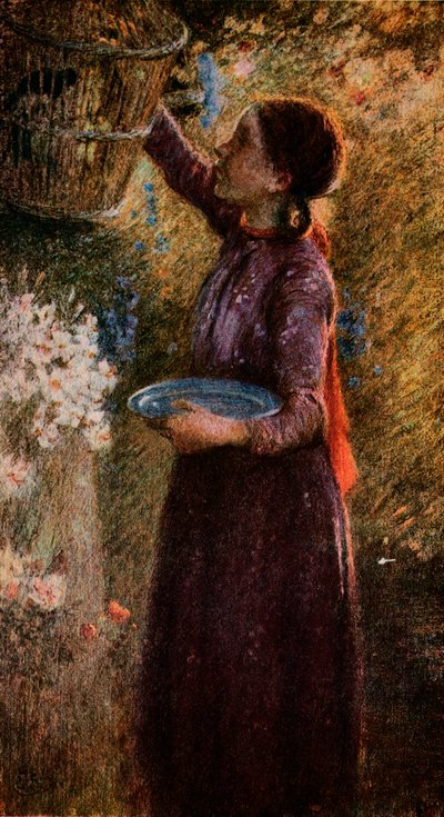 鸟笼，c1900，1918年 作者 威廉·爱德华·斯托特