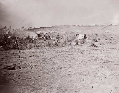 布拉迪堡的远景，约1865年。 作者 威廉·弗兰克·布朗