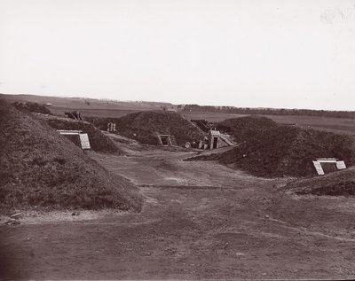 达林堡，詹姆斯河，1865年。 作者 威廉·弗兰克·布朗。