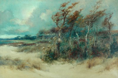 1916年，Heysham，Sandy Lane的树木 作者 威廉·帕金森