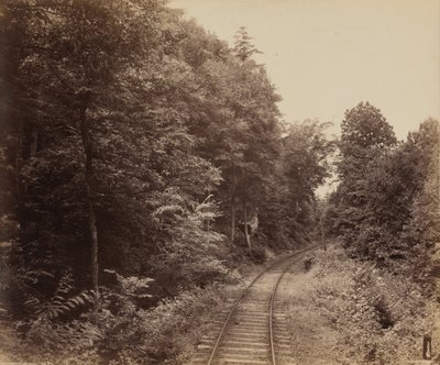 Musconetcong Glen 作者 威廉·劳