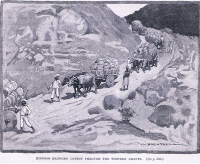 印度教徒在公元1862年将棉花带入西部的Ghauts 作者 威廉·哈瑟雷尔