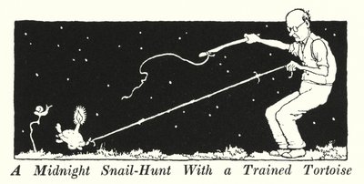 A Midnight Snail-Hunt With a Trained Tortoise (litho) 作者 威廉·希思·罗宾逊