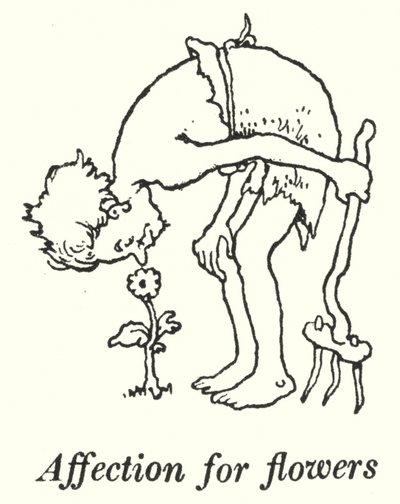对花的感情（平版 作者 威廉·希思·罗宾逊