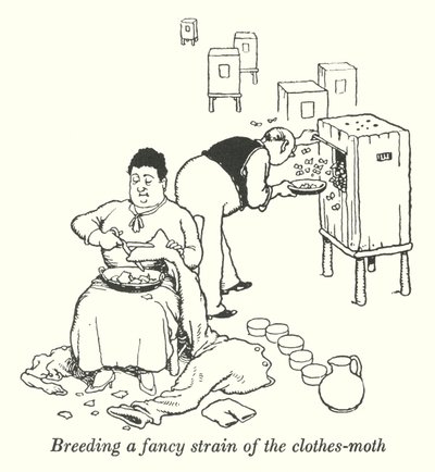 Breeding a fancy strain of the clothes-moth (litho) 作者 威廉·希思·罗宾逊