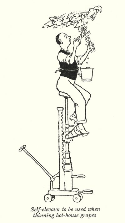 Self-elevator to be used when thinning hot-house grapes (litho) 作者 威廉·希思·罗宾逊