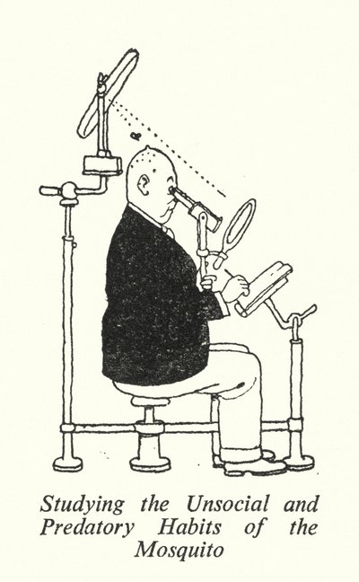 研究蚊子的非社会性和掠食性习性（石版画） 作者 威廉·希思·罗宾逊