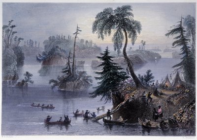 千岛群岛的场景。营地和船只，Mille îles - 在 "加拿大风景图解 "中，作者是Bartlett W. H. 。 作者 威廉·亨利·巴特利特
