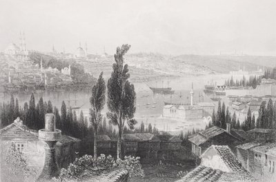 来自土耳其佩拉的阿森纳，来自“历史肖像画廊”，出版于1880年 作者 威廉·亨利·巴特利特