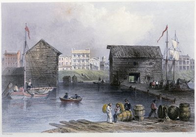 View of the Toronto Docks - in “” Canadian scenery illustrated”” by Bartlett W. H. 作者 威廉·亨利·巴特利特