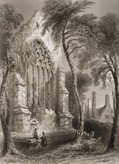 爱尔兰科克郡的Youghal Abbey，来自George Virtue的“爱尔兰的风景和古物”，1860年代 作者 威廉·亨利·巴特利特