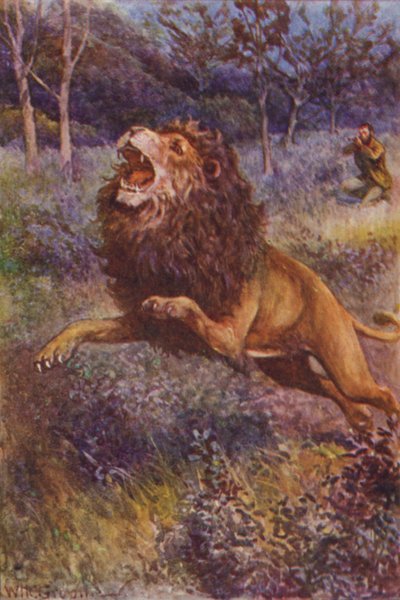 R M Ballantyne 的《大猩猩猎人》插图（彩色石版画） 作者 威廉·亨利·查尔斯·格鲁姆
