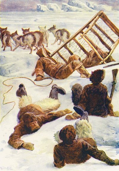 冰雪世界或海豚号捕鲸之旅》插图（彩色石版画） 作者 威廉·亨利·查尔斯·格鲁姆