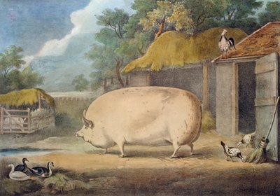 莱斯特索恩，2岁，Samuel Wiley的财产 作者 William Henry Davis