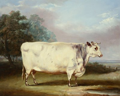 奖牛，1838年 作者 威廉·亨利·戴维斯