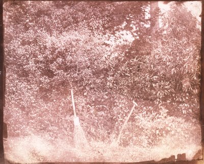 Broom and Spade，1842 作者 威廉·亨利·福克斯·塔尔伯特