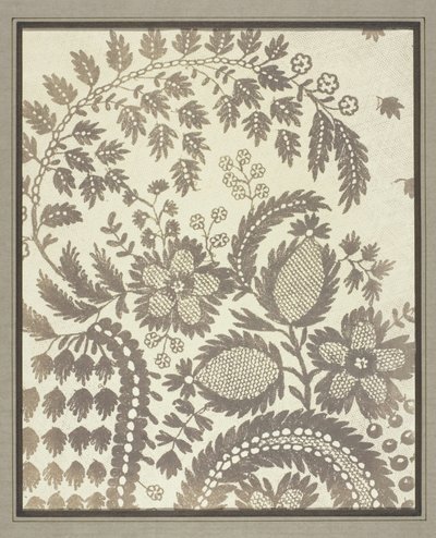 蕾丝 作者 William Henry Fox Talbot